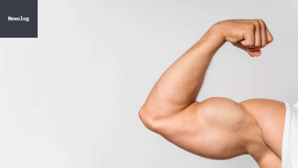 Des Exercices Biceps Avec Haltères