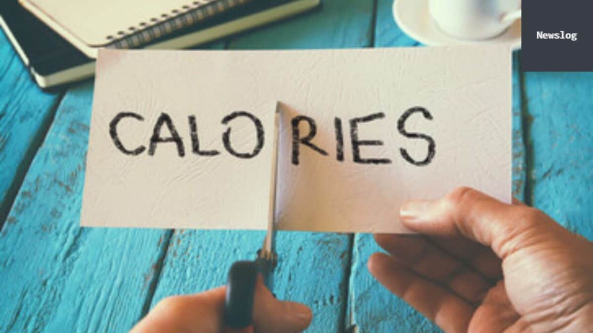 Calories par Jour Pour Prendre du Poids